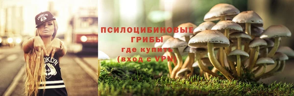 винт Арсеньев