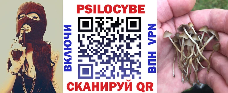 omg сайт  shop как зайти  Псилоцибиновые грибы Cubensis  Менделеевск 
